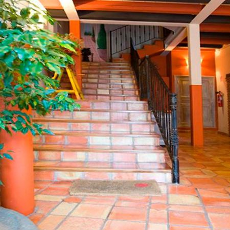 Apartamentos Senorio De Haro 3000 외부 사진